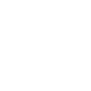 icon diagnostic